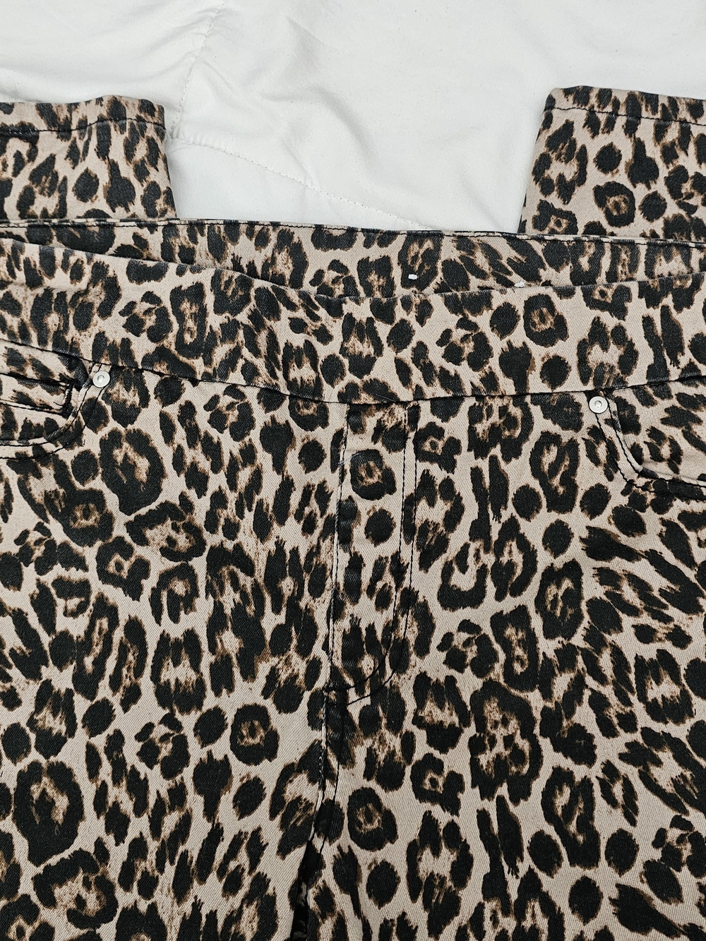 Westbound Leopard Print High-Waist Women’s Pants - Black & Tan